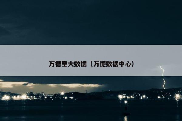 万德里大数据（万德数据中心）