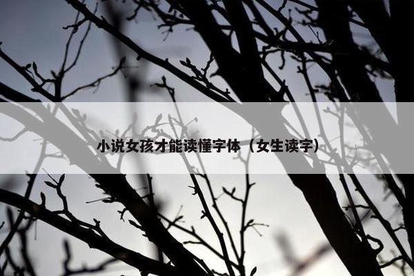 小说女孩才能读懂字体(女生读字) 小说女孩才能读懂字体(女生读字)