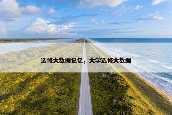 选修大数据记忆,大学选修大数据 选修大数据记忆,大学选修大数据
