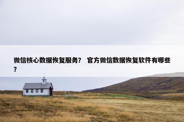 微信核心数据恢复服务? 官方微信数据恢复软件有哪些? 微信核心数据恢复服务? 官方微信数据恢复软件有哪些?