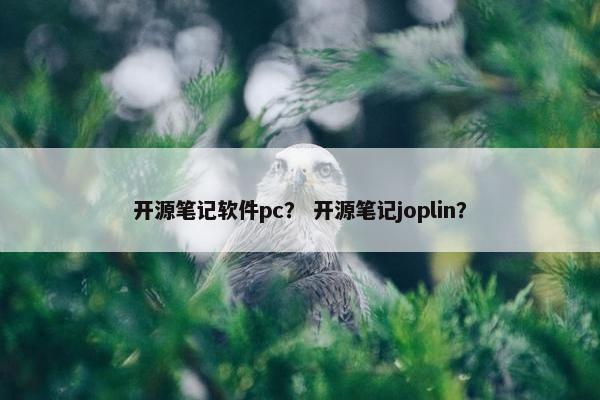 开源笔记软件pc？ 开源笔记joplin？