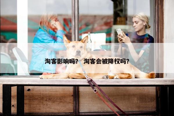 淘客影响吗？ 淘客会被降权吗？