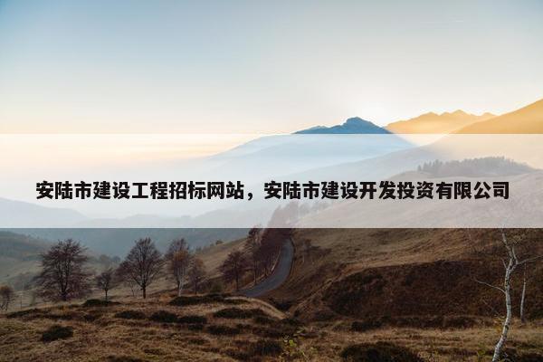 安陆市建设工程招标网站，安陆市建设开发投资有限公司