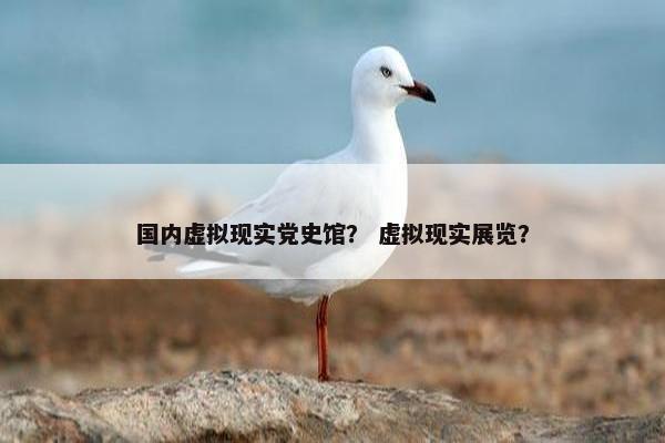 国内虚拟现实党史馆？ 虚拟现实展览？