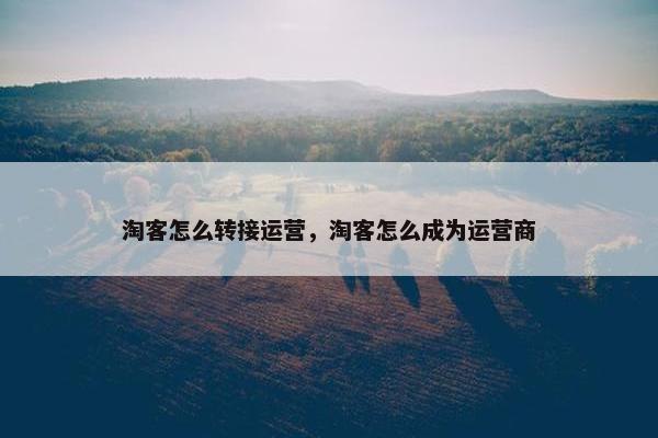 淘客怎么转接运营，淘客怎么成为运营商