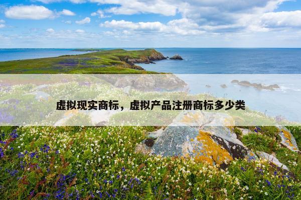 虚拟现实商标，虚拟产品注册商标多少类