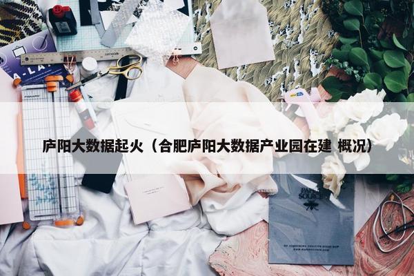 庐阳大数据起火(合肥庐阳大数据产业园在建 概况) 庐阳大数据起火(合肥庐阳大数据产业园在建 概况)