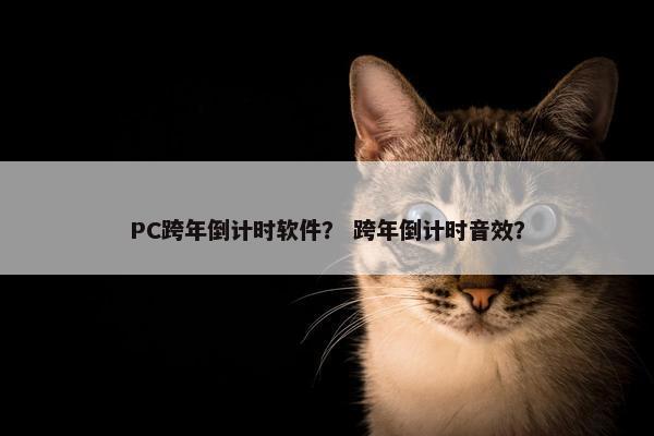 PC跨年倒计时软件？ 跨年倒计时音效？