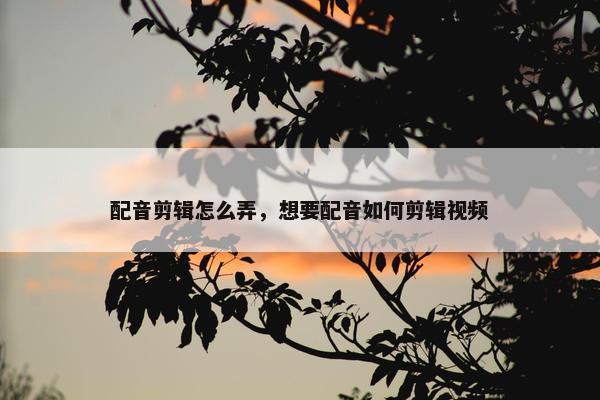 配音剪辑怎么弄，想要配音如何剪辑视频