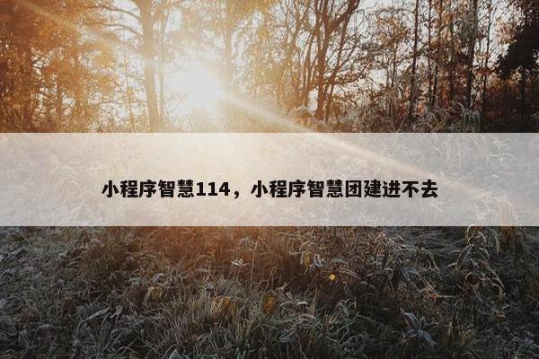 小程序智慧114,小程序智慧团建进不去 小程序智慧114,小程序智慧团建进不去