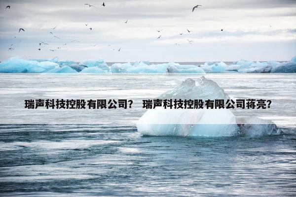 瑞声科技控股有限公司？ 瑞声科技控股有限公司蒋亮？