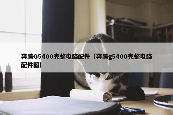 奔腾G5400完整电脑配件（奔腾g5400完整电脑配件图）