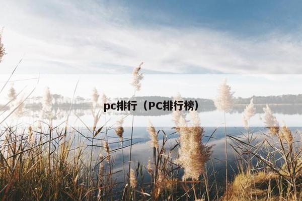 pc排行（PC排行榜）