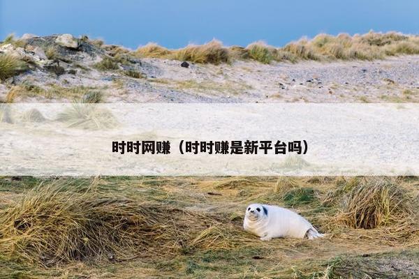 时时网赚（时时赚是新平台吗）