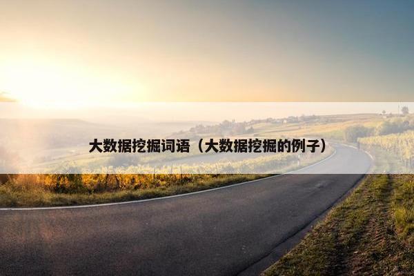 大数据挖掘词语(大数据挖掘的例子) 大数据挖掘词语(大数据挖掘的例子)