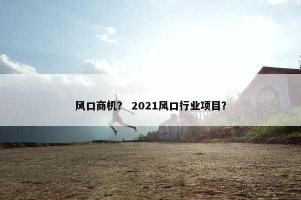 风口商机？ 2021风口行业项目？