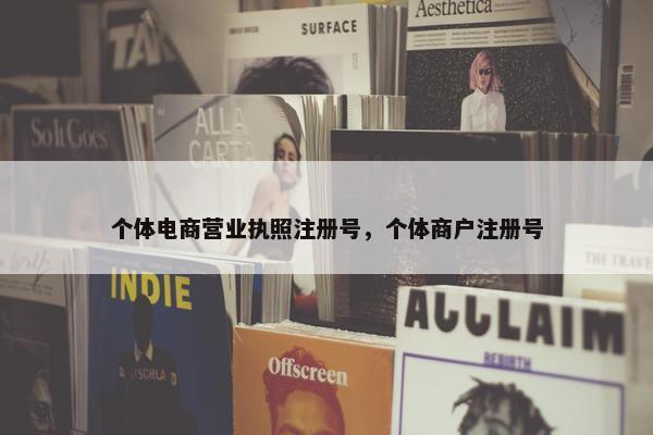 个体电商营业执照注册号，个体商户注册号