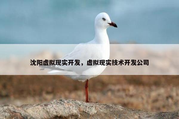 沈阳虚拟现实开发，虚拟现实技术开发公司