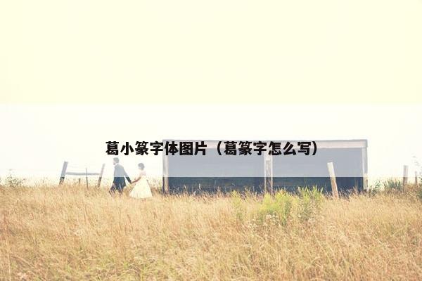 葛小篆字体图片（葛篆字怎么写）