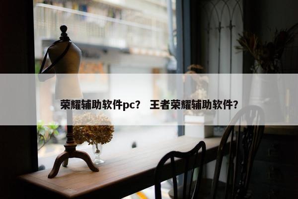 荣耀辅助软件pc？ 王者荣耀辅助软件？