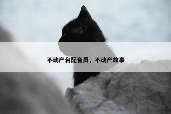 不动产台配音员,不动产故事 不动产台配音员,不动产故事