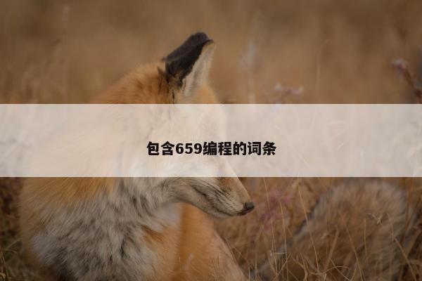 包含659编程的词条