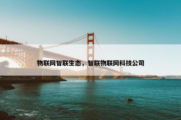 物联网智联生态，智联物联网科技公司