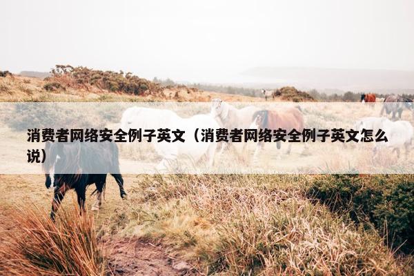 消费者网络安全例子英文（消费者网络安全例子英文怎么说）