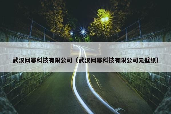 武汉网幂科技有限公司（武汉网幂科技有限公司元壁纸）