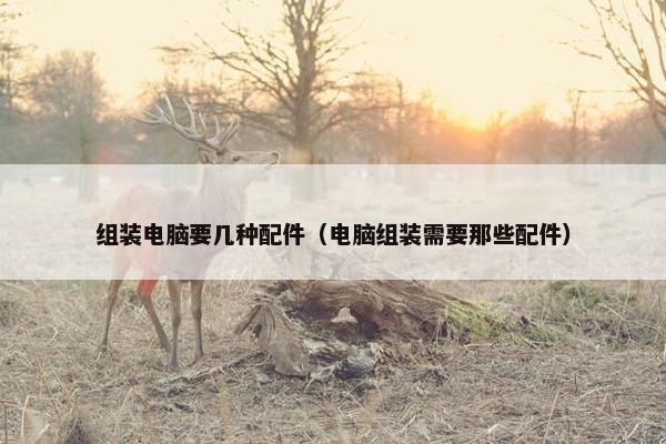 组装电脑要几种配件（电脑组装需要那些配件）