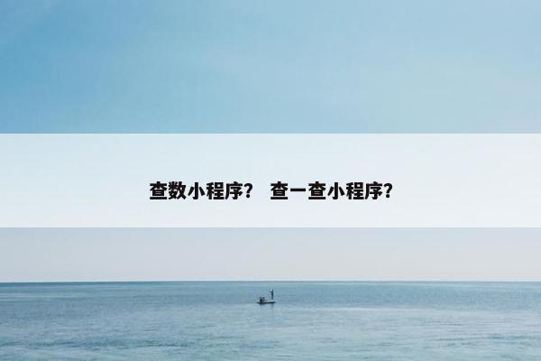 查数小程序？ 查一查小程序？