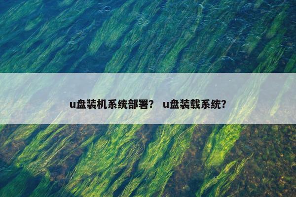 u盘装机系统部署？ u盘装载系统？