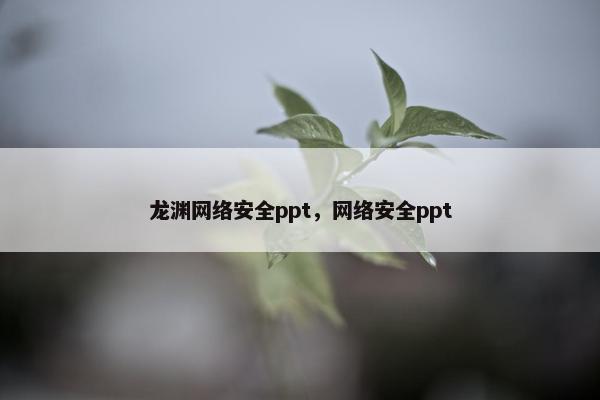 龙渊网络安全ppt，网络安全ppt