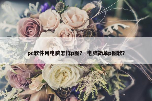 pc软件用电脑怎样p图? 电脑简单p图软? pc软件用电脑怎样p图? 电脑简单p图软?