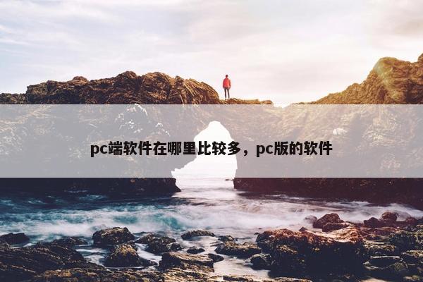 pc端软件在哪里比较多,pc版的软件 pc端软件在哪里比较多,pc版的软件