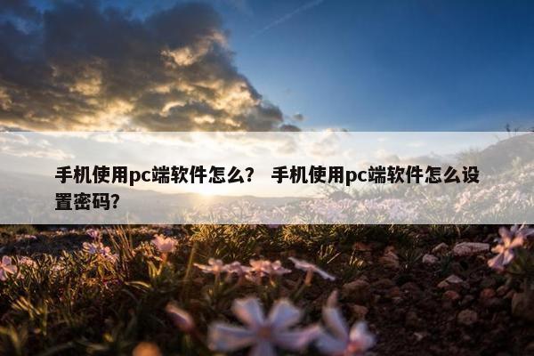 手机使用pc端软件怎么? 手机使用pc端软件怎么设置密码? 手机使用pc端软件怎么? 手机使用pc端软件怎么设置密码?