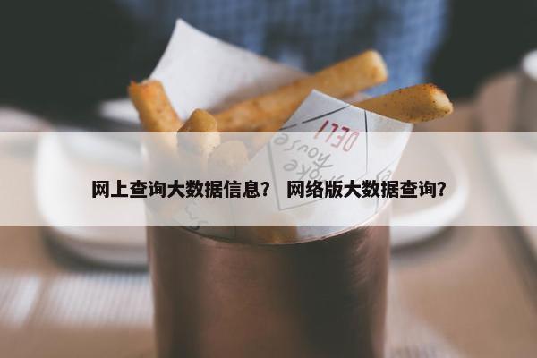 网上查询大数据信息？ 网络版大数据查询？