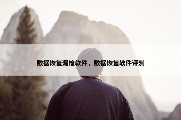 数据恢复漏检软件，数据恢复软件评测