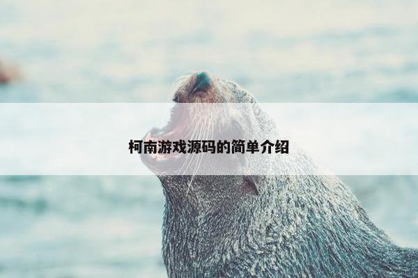柯南游戏源码的简单介绍 柯南游戏源码的简单介绍