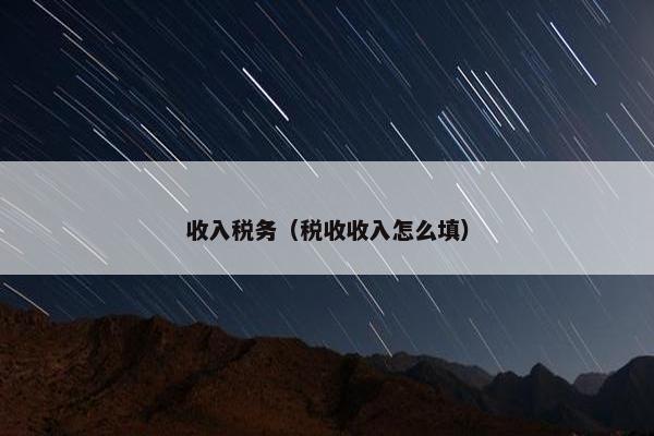 收入税务（税收收入怎么填）