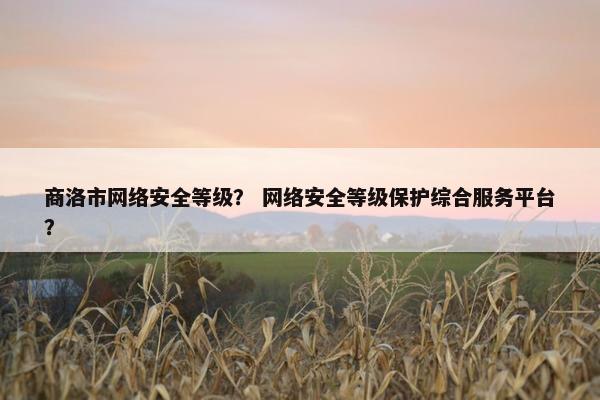 商洛市网络安全等级？ 网络安全等级保护综合服务平台？