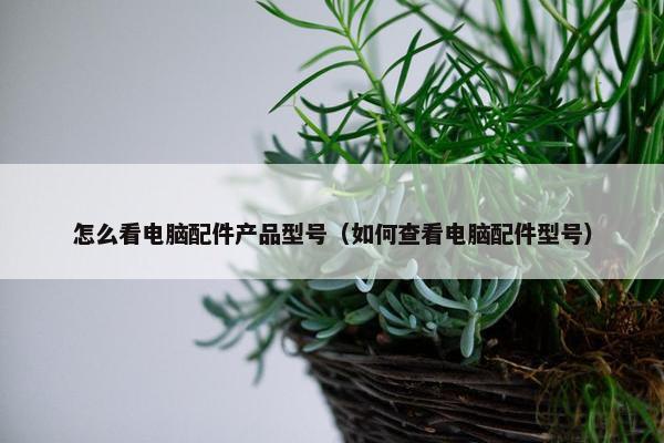 怎么看电脑配件产品型号（如何查看电脑配件型号）
