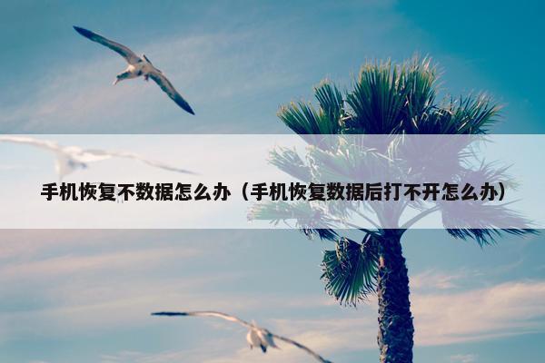 手机恢复不数据怎么办(手机恢复数据后打不开怎么办) 手机恢复不数据怎么办(手机恢复数据后打不开怎么办)