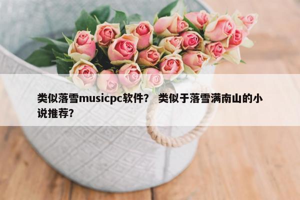 类似落雪musicpc软件？ 类似于落雪满南山的小说推荐？