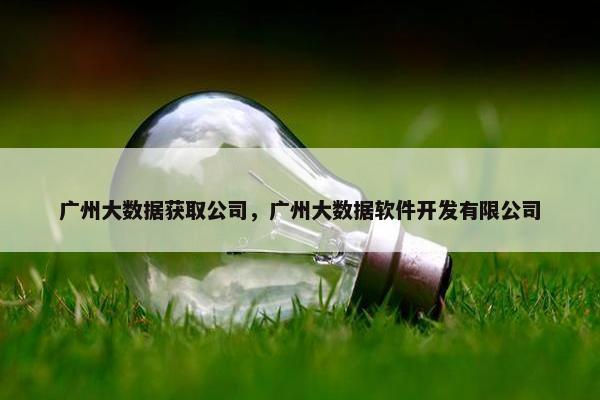 广州大数据获取公司，广州大数据软件开发有限公司