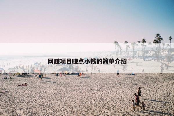 网赚项目赚点小钱的简单介绍