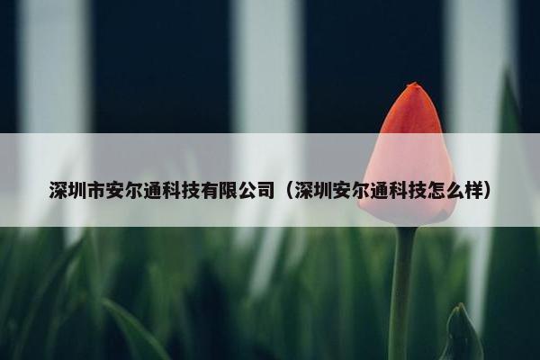 深圳市安尔通科技有限公司（深圳安尔通科技怎么样）