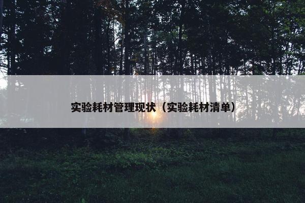 实验耗材管理现状（实验耗材清单）