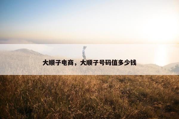 大顺子电商，大顺子号码值多少钱