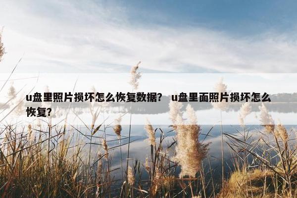 u盘里照片损坏怎么恢复数据？ u盘里面照片损坏怎么恢复？